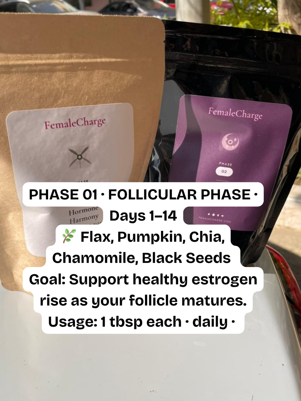 Seed Cycling Kit